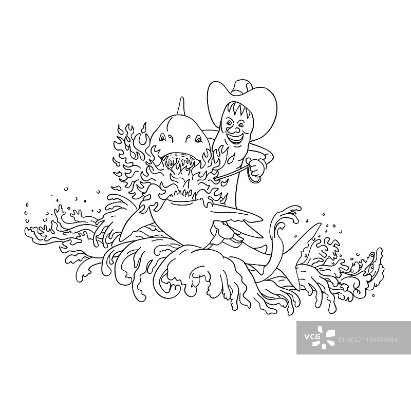 复古纹身风格插图：骑着大白鲨的牛仔辣椒，喷火，坐在鞍子上，伴随着波浪跳跃，背景为纯白色，黑白色调。图片素材