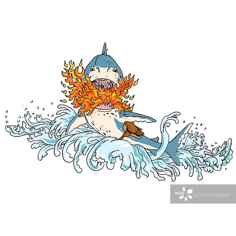 复古纹身风格插图：一只穿着鞍的伟大白鲨在波浪中跳跃，喷吐火焰，背景为纯白色，色彩丰富。图片素材