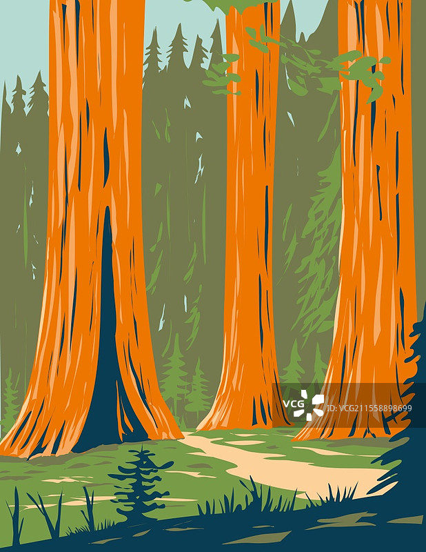 加州瓦沃纳附近优胜美地国家公园的巨型红杉马里波萨林的WPA海报艺术。图片素材