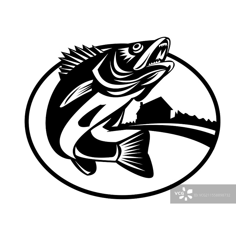 复古黑白风格的椭圆形插图，描绘了一条跳跃的梭鱼（Sander vitreus）和湖泊及小屋。图片素材