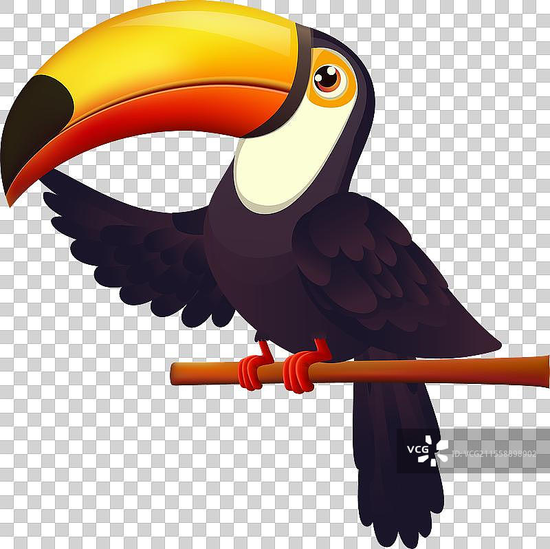 巨嘴鸟设计 EPS10 图形图片素材