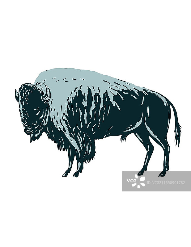美国野牛侧面视图的WPA海报艺术，展示了曾经在北美游荡的美洲野牛，采用了工作项目管理或联邦艺术项目的风格。图片素材