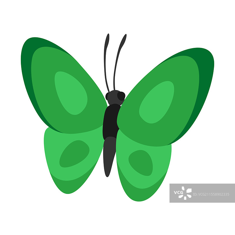 装饰性蝴蝶插图。色彩鲜艳的抽象昆虫。装饰性蝴蝶插图。色彩抽象昆虫。图片素材