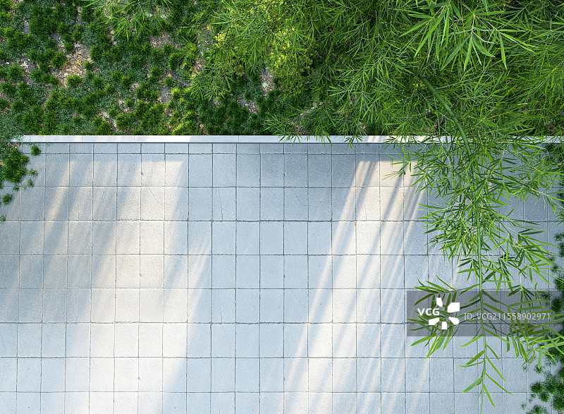 杭州户外竹林自然风光平台图片素材