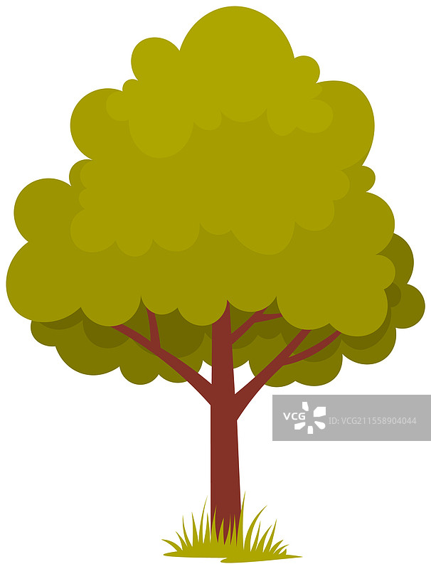 孤独的落叶树，树干粗壮，树叶茂密。高大的植物，枝条广泛分布，绿叶繁茂。粗干的落叶植物。树木的绿色叶子，孤立在白色背景上。落叶树，树干粗壮，树叶茂密。高大的植物，枝条广泛分布，绿叶繁茂。图片素材