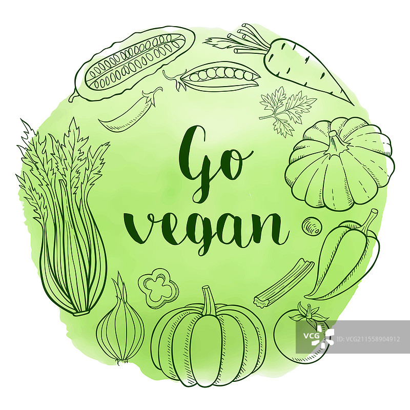 绿色水彩背景上的蔬菜。健康饮食和素食概念。手绘矢量插图图片素材