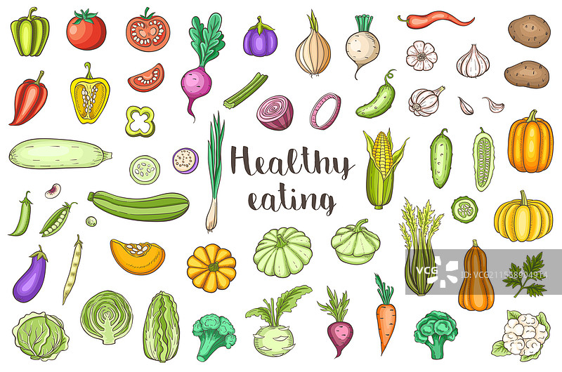 一组手绘涂鸦风格的蔬菜矢量图，背景为白色。图片素材