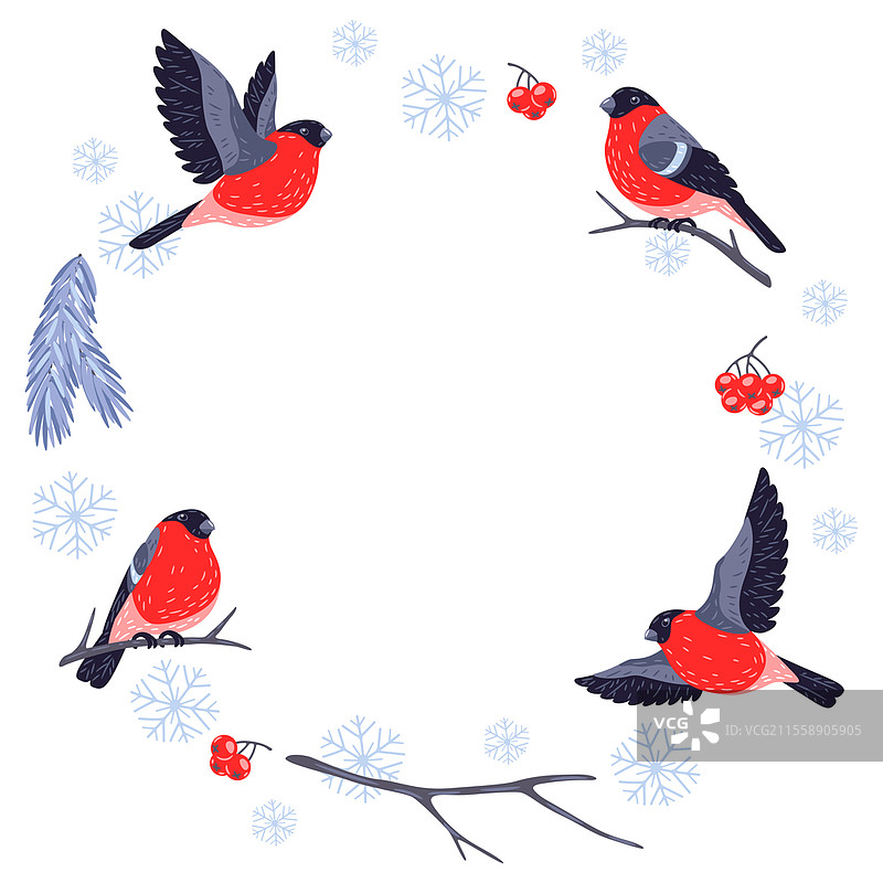 冬季框架，带有鸟类红腹灰雀和植物。圣诞快乐，新年快乐贺卡。节日设计。图片素材