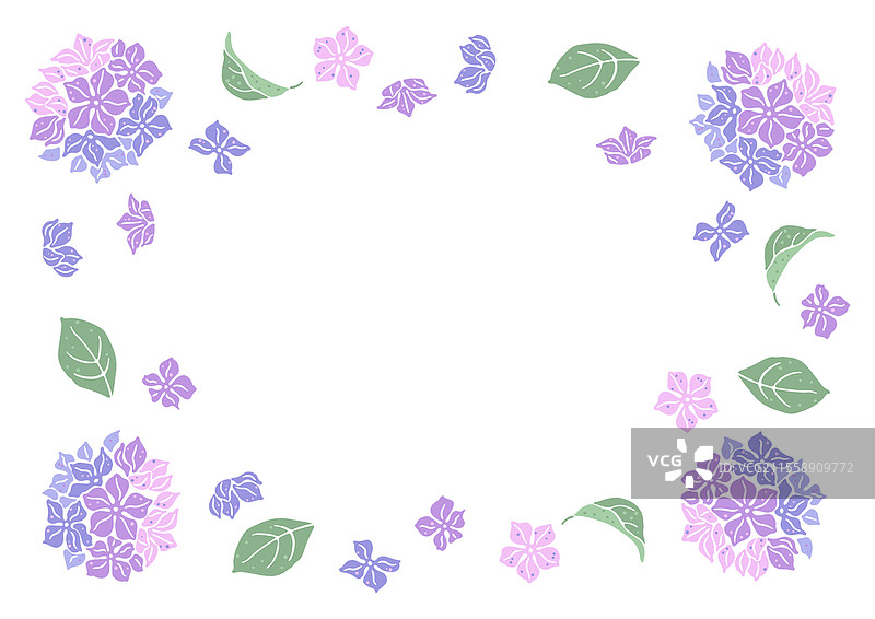 绣球花框架。美丽的装饰植物。自然插图。绣球花框架。美丽的装饰植物。图片素材