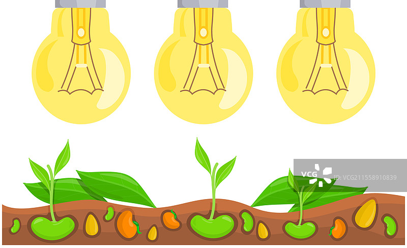 电动LED灯和白炽灯或节能照明设备。用于在花园中创造光线的电器。植物照明以提高产量。植物和花卉上方的灯泡。用于在市场花园中创造光线的电器。植物照明以提高产量。图片素材