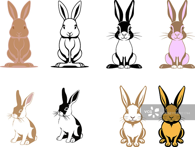 一群可爱的兔子聚会图片素材