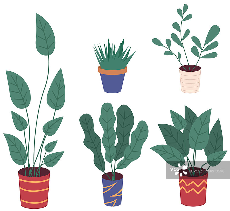 一组孤立在白色背景上的花盆和室内植物。装饰性绿色植物的花盆，长叶子在陶瓷花盆中。室内植物概念，体现家庭绿意。家居室内植物图标。装饰性绿色植物与长叶子在陶瓷花盆中的组合，花盆与室内植物。家庭室内植物。图片素材