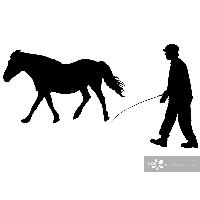 白色背景上的马和骑手剪影。图片素材