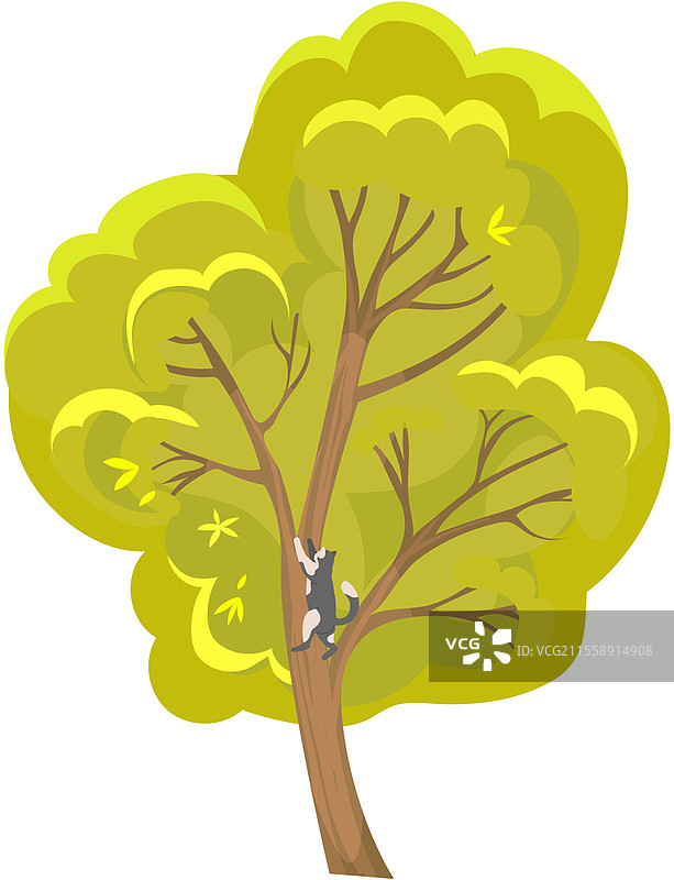 孤独的落叶树，树干粗壮，树叶茂密。高大的植物，枝条广泛分布，绿叶繁茂。粗干的落叶植物。树木的绿色叶子，孤立在白色背景上。落叶树，树干粗壮，树叶茂密。高大的植物，枝条广泛分布，绿叶繁茂。图片素材