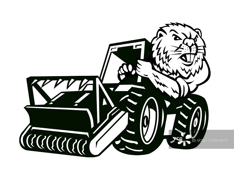 愤怒的北美海狸驾驶碎草机的卡通吉祥物插图，正面视角，背景为纯白色，复古卡通风格。图片素材