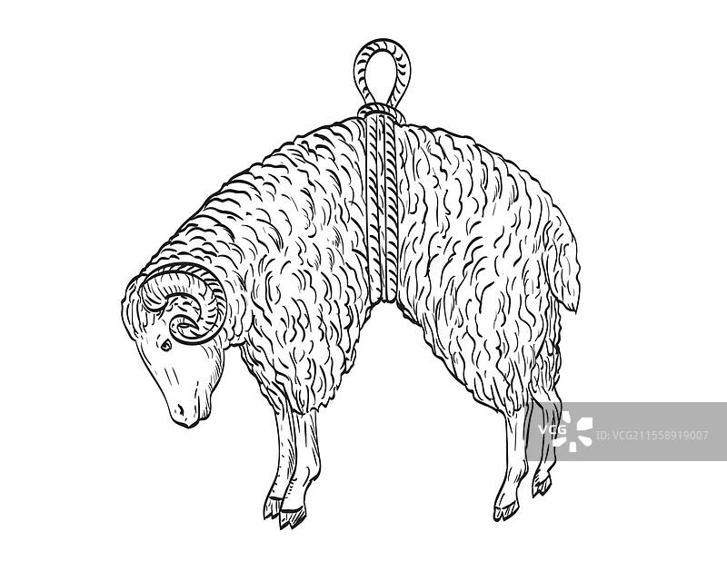 黑白复古风格的漫画插图，侧面描绘了一只悬挂在绳带上的公羊，象征着金羊毛。图片素材