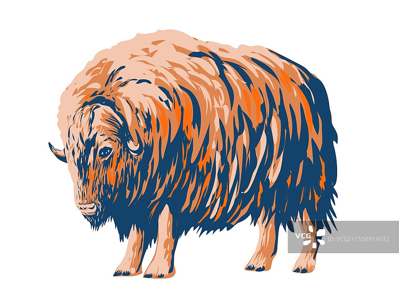 WPA风格的麝牛侧面海报艺术，麝牛是一种原产于北极的偶蹄类哺乳动物，采用工作项目管理或联邦艺术项目风格创作。图片素材