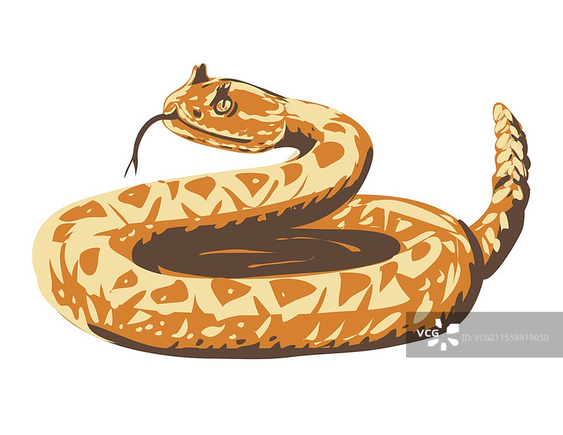 西部响尾蛇蜷缩的WPA海报艺术图片素材