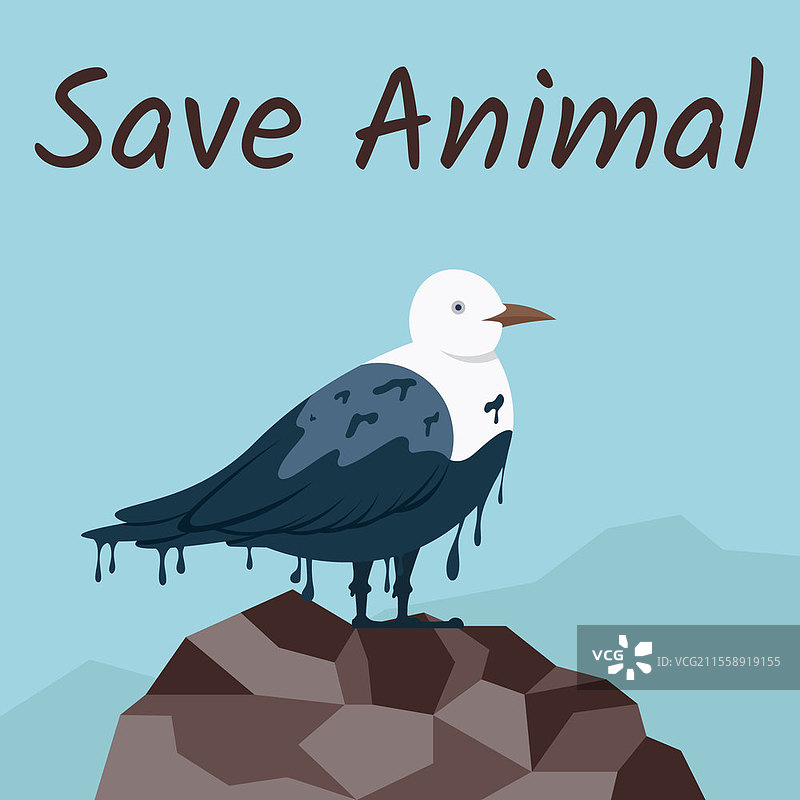 被工业生产的油污污染的海鸥栖息在石头上。鸟类因人类活动污染环境而受苦。拯救动物的理念。极地鸟类栖息在山顶。被工业生产的油污污染的海鸥栖息在石头上。拯救动物。图片素材