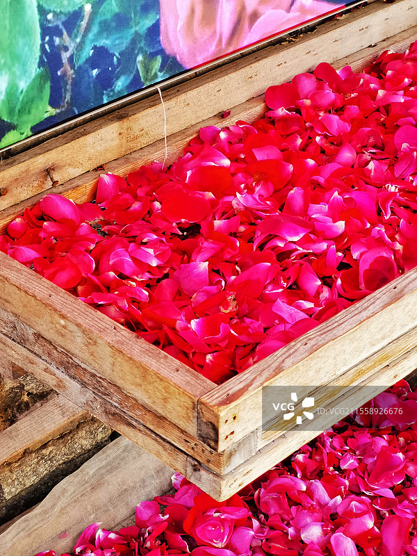 装在木槽子里的玫瑰花瓣图片素材