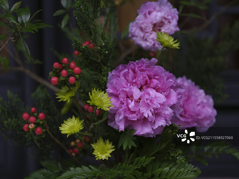 江南韵·齐鲁情”首届杭菏双城牡丹精品展图片素材