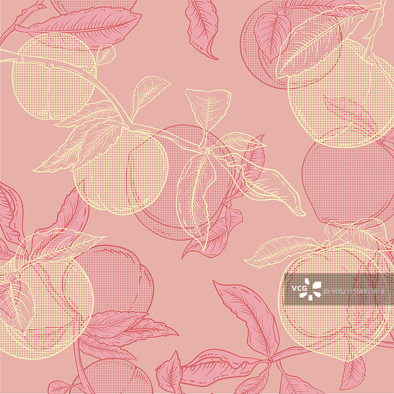 桃子肌理插画图片素材