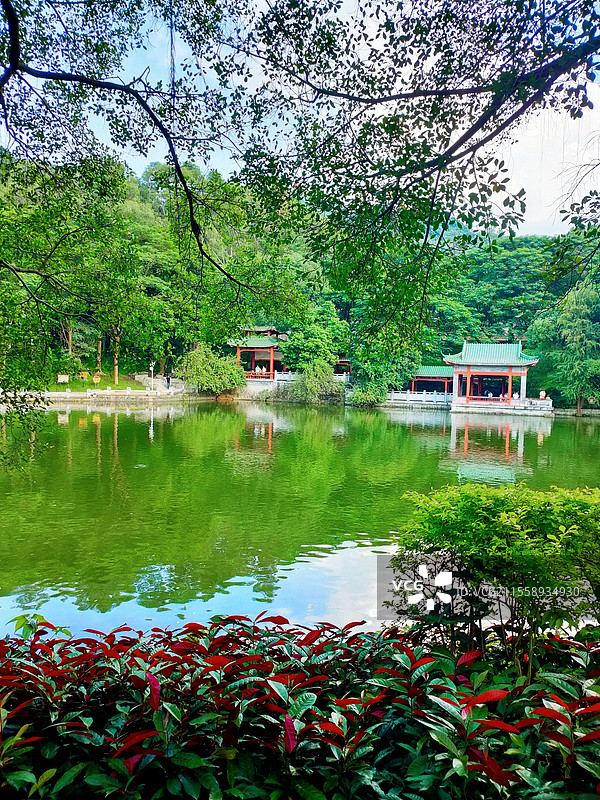 东莞旗峰公园｜园林春色图片素材