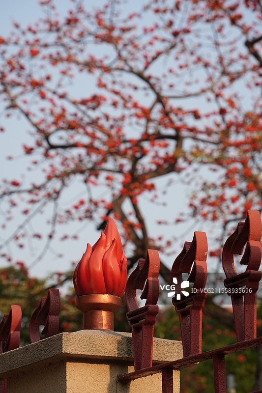 广州农讲所的火炬装饰与春天盛开的木棉花图片素材