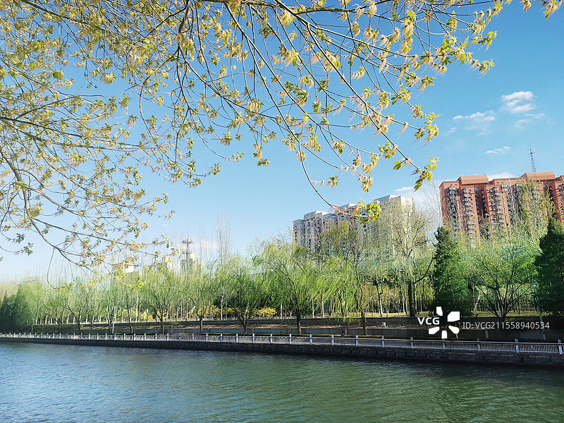 北京护城河春天户外风光图片素材