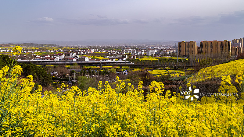 陕西汉中洋县春季高铁穿过油菜花海图片素材