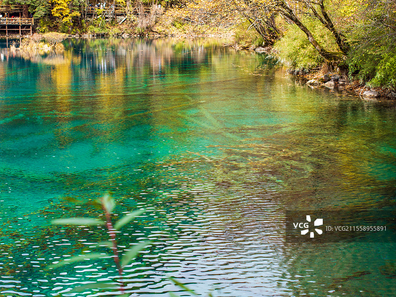 航拍四川川西阿坝州九寨沟秋季彩林唯美秋景图片素材