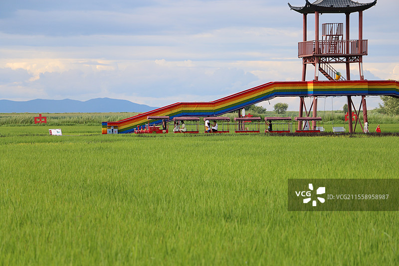 同江市稻田公园图片素材