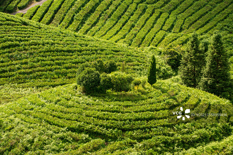 贵阳百花湖森林公园图片素材