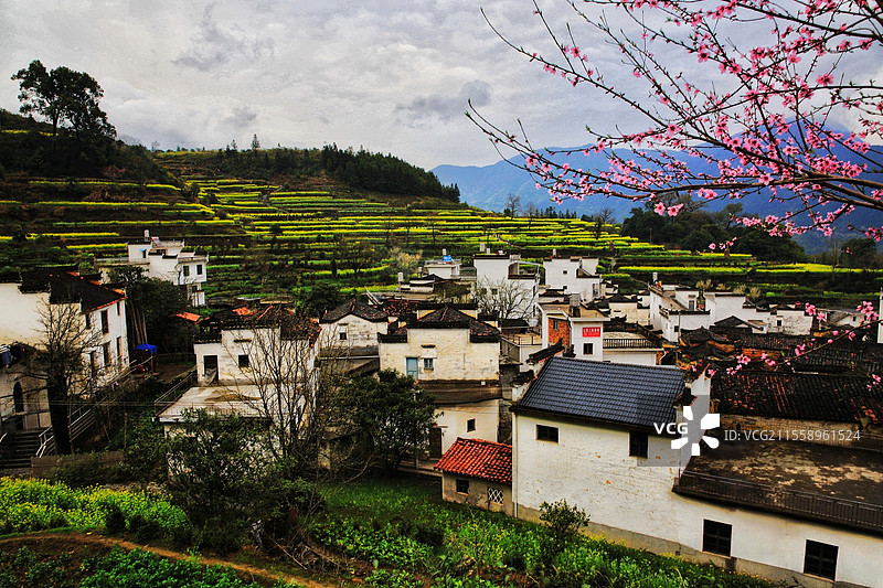 桃花盛开的小山村图片素材