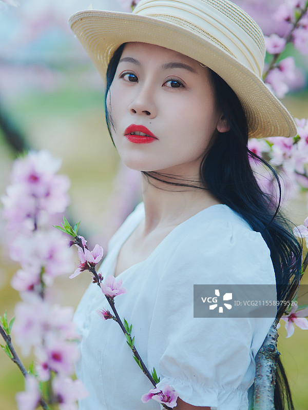 春日桃花图片素材