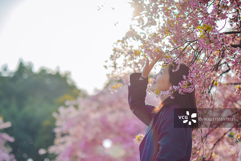 一位亚洲女性在宁波植物园欣赏春季樱花图片素材