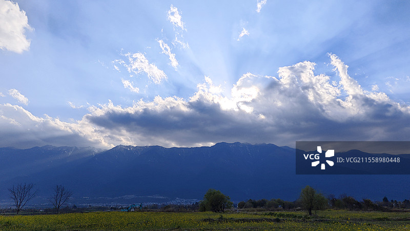 大理雪山下的油菜花田图片素材