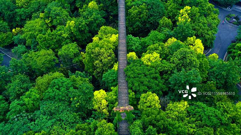 绿意盎然的空中栈道：重庆市璧山秀湖公园图片素材