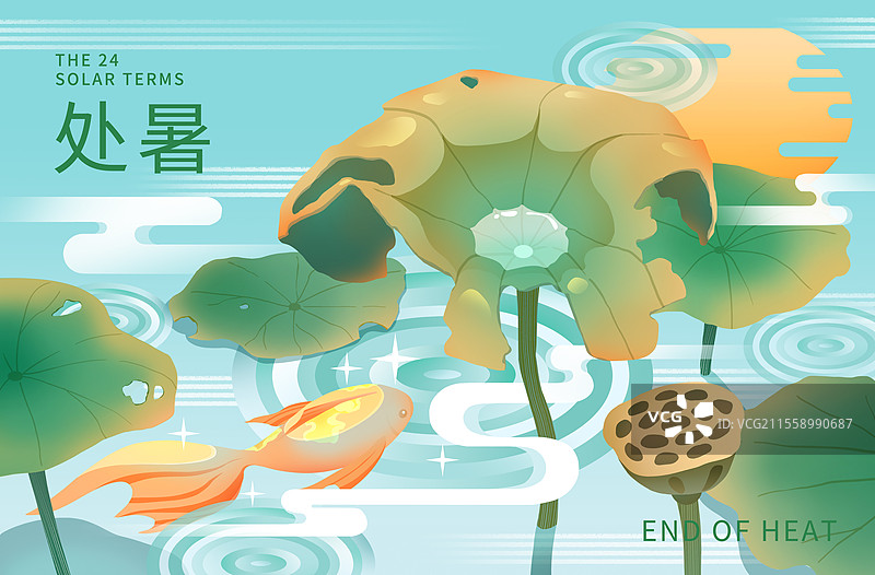 二十四节气秋天处暑荷塘枯萎的荷叶金鱼游过露出水面图片素材