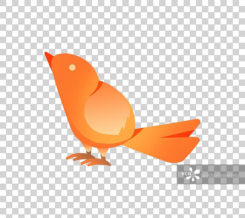 橙色小鸟仰头插画元素图片素材