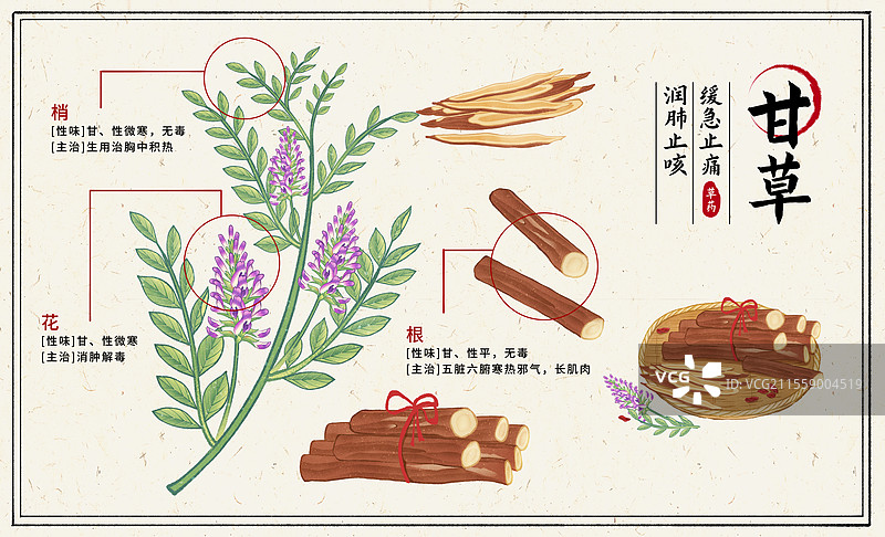 中国传统文化中医养生中草药药材医疗用品之甘草图片素材