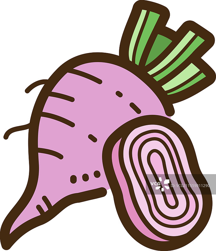 甜菜 - 原料食品涂鸦艺术和图片素材