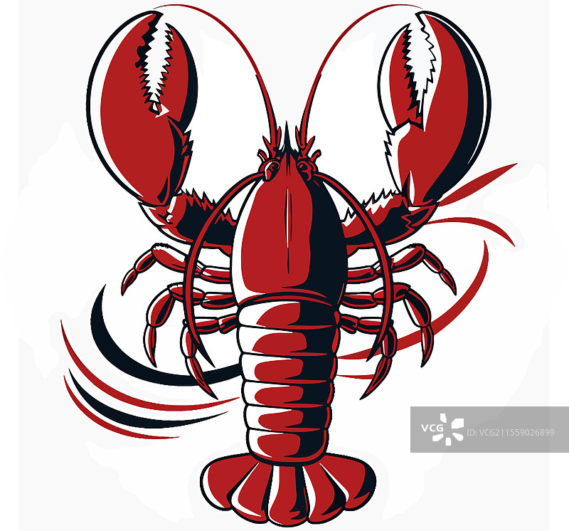 龙虾鱼艺术设计图片素材