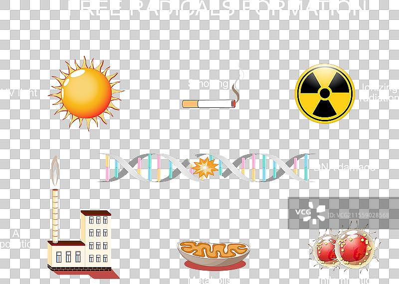 DNA损伤自由基形成图片素材