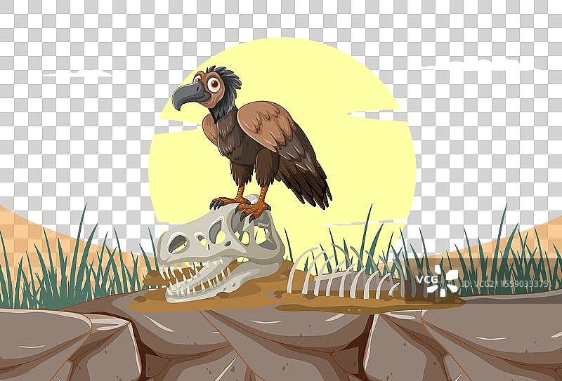 干旱景观中的卡通秃鹫与骷髅图片素材
