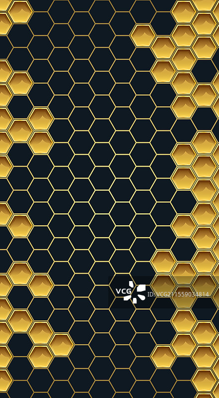 蜂巢中的蜂蜜蜂窝格子图片素材
