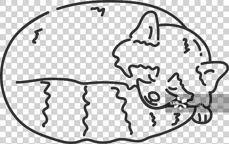 手绘可爱的红熊猫正在睡觉图片素材