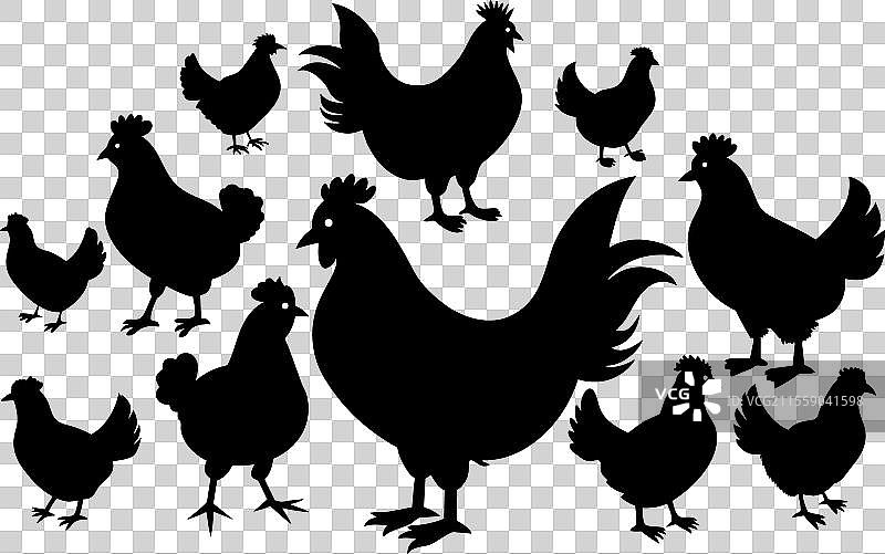 母鸡剪影组合图片素材