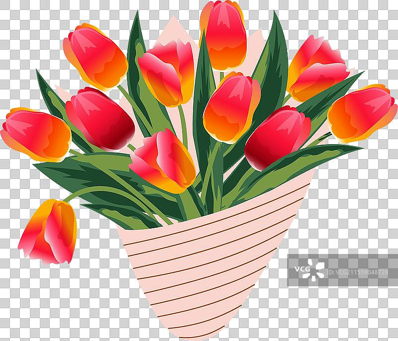 郁金香花束图片素材