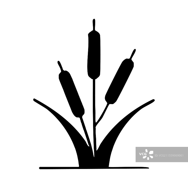 芦苇植物剪影孤立图标设计简单图片素材